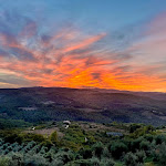 Photo n°9 de l'avis de alicia.o fait le 05/10/2023 à 14:15 sur le  Fattoria Di Vibio à Doglio, Monte Castello di Vibio