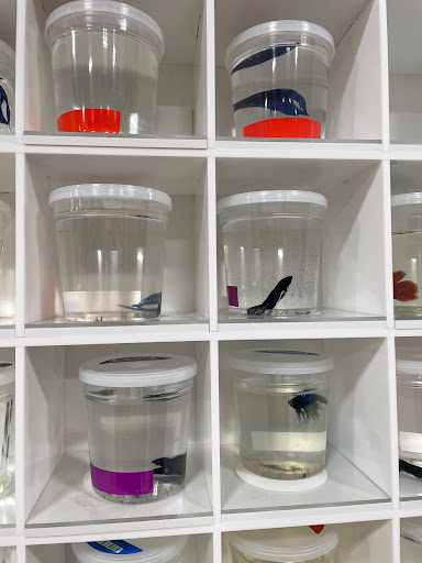 Pet Supply Store «PetSmart», reviews and photos, 5005 S 74th St, Greenfield, WI 53220, USA