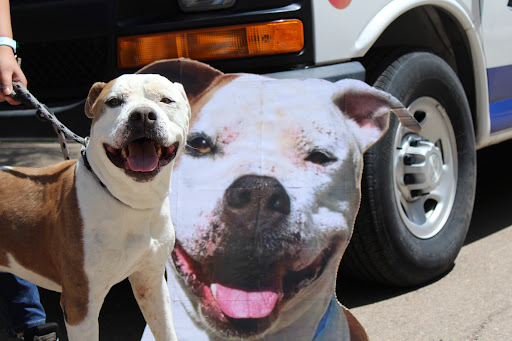 Animal Shelter «Humane Society of El Paso», reviews and photos