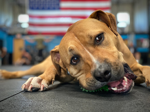 Gym «CrossFit Infinite Strength», reviews and photos, 8425 N 90th St #3, Scottsdale, AZ 85258, USA