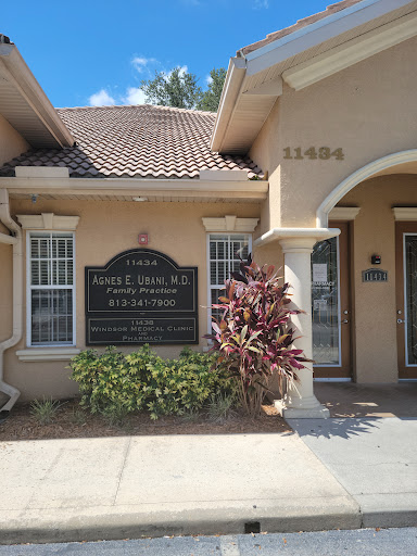 11434 N 53rd St, Tampa, FL 33617, USA