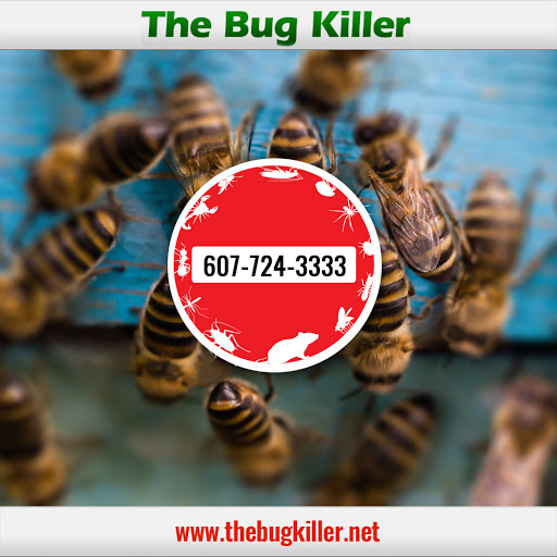 The Bug Killer image 7