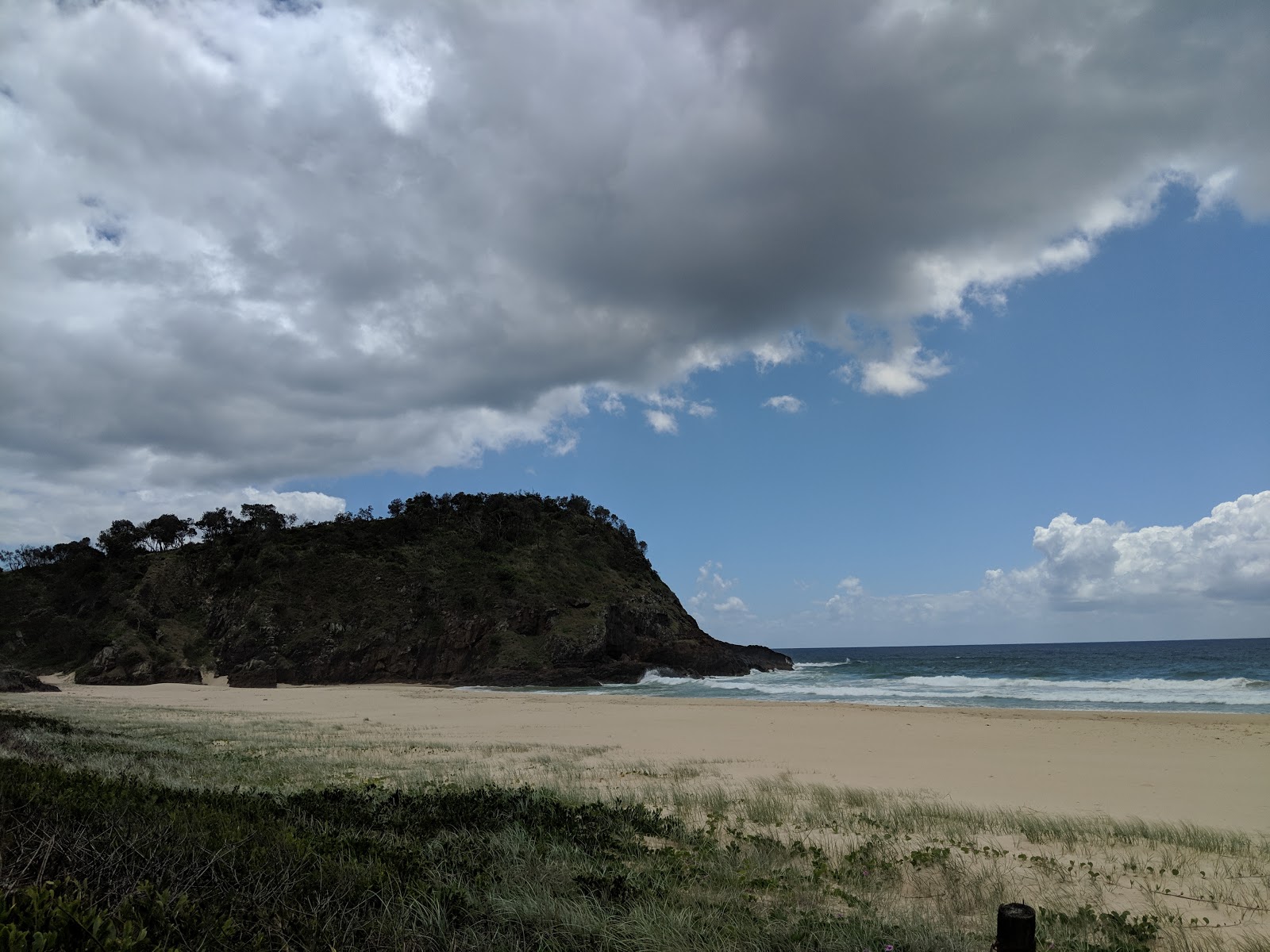 Foto de Off Leash Dog Beach área selvagem