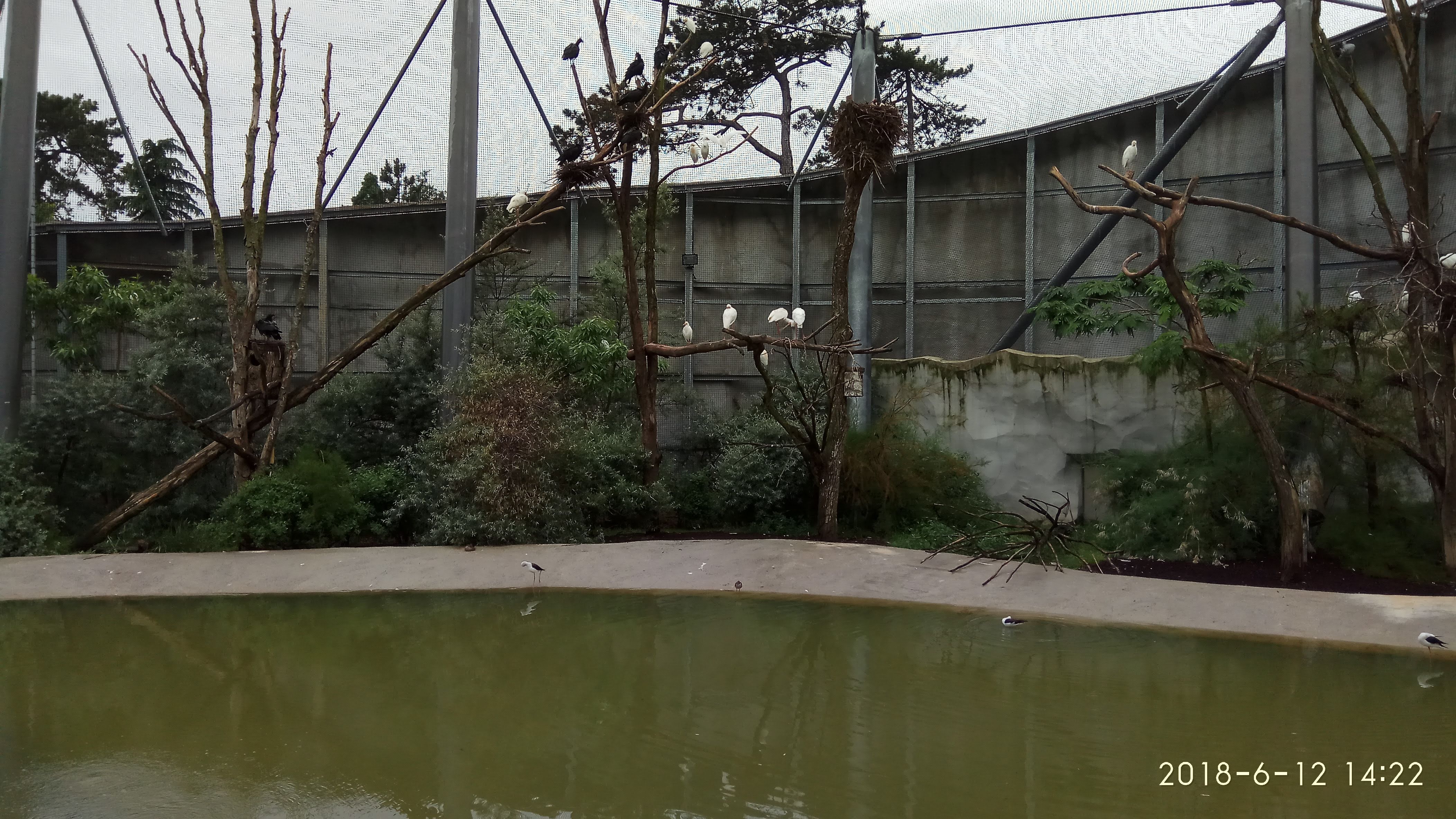 Photo n° 6 de l'avis de Swiss.e fait le 15/06/2018 à 19:24