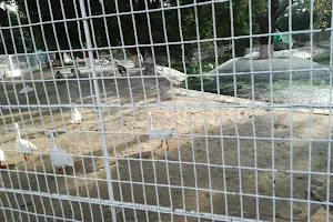 Karachi Zoo Museum image