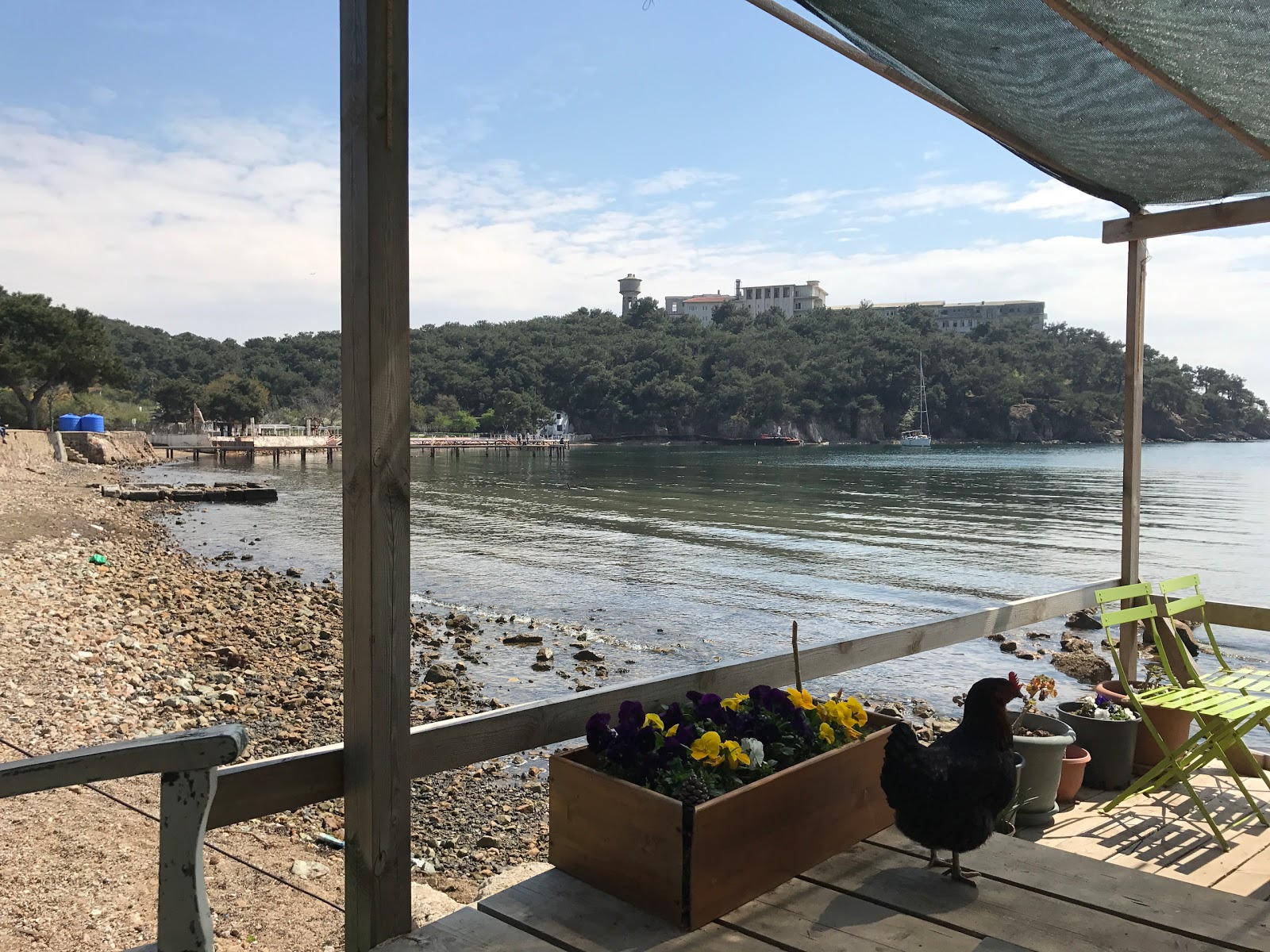 Foto di Pine Harbor Bay e l'insediamento