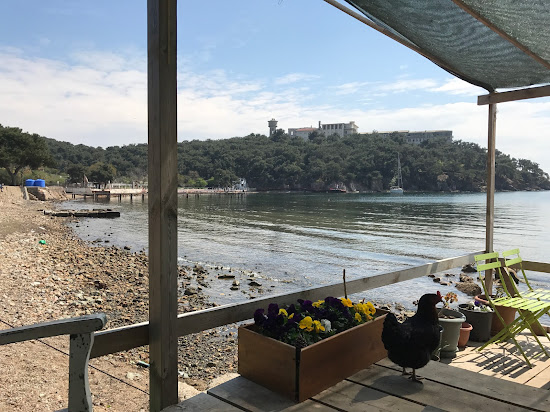 Pine Harbor Bay