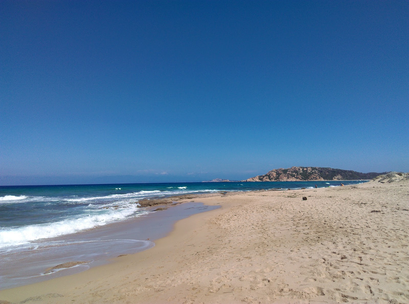 Fotografija Lido Dog Beach nahaja se v naravnem okolju