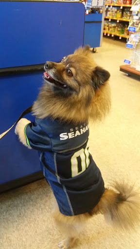 Pet Supply Store «PetSmart», reviews and photos, 1130 SE Everett Mall Way, Everett, WA 98208, USA