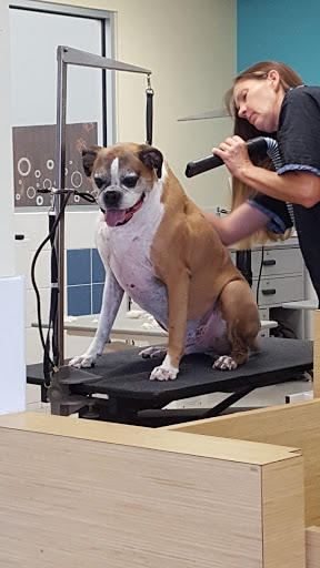 Pet Supply Store «Petco Animal Supplies», reviews and photos, 1844 E Ridge Pike #110, Royersford, PA 19468, USA