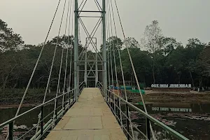 Rashik Bill / Bochamari Bridge image