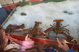 Pescaderia Antonio y Begoña image