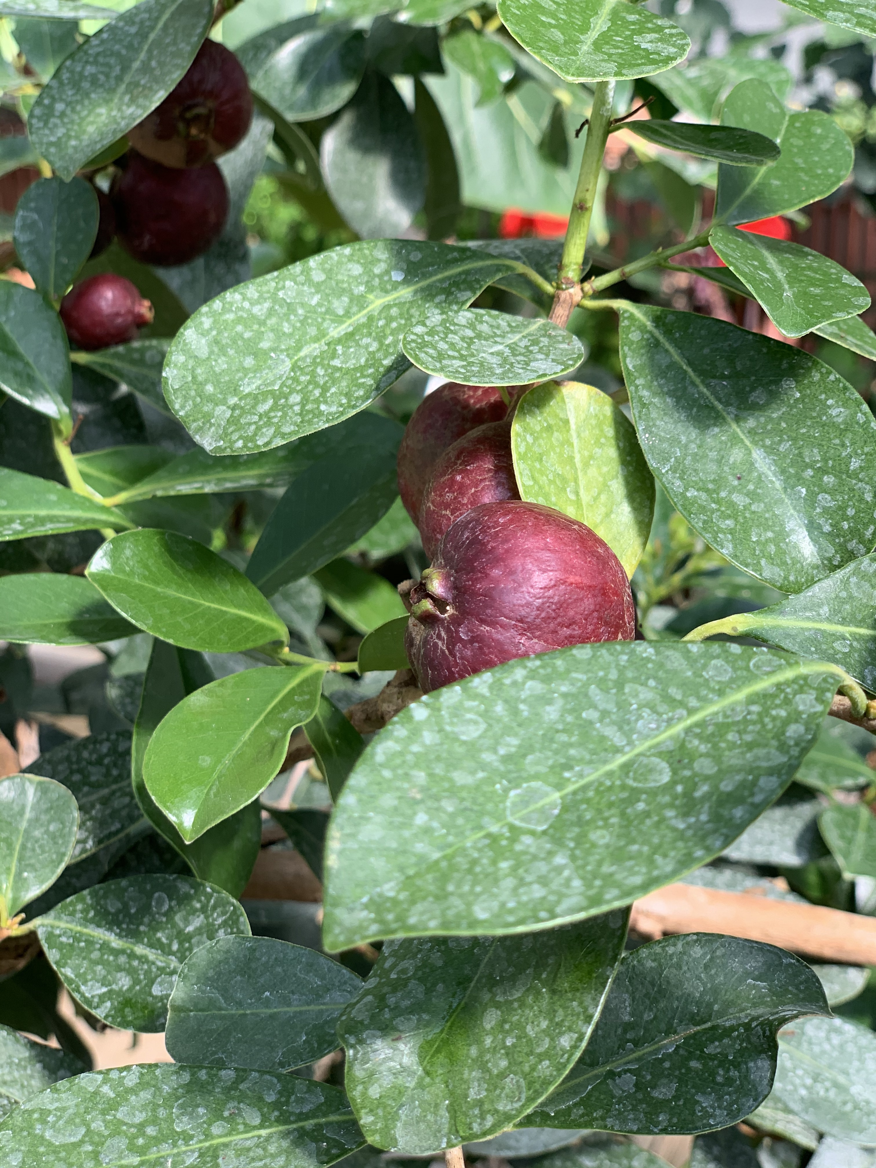 Photo n° 13 de l'avis de Yves.e fait le 23/08/2019 à 11:11