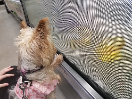 Pet Supply Store «Petco Animal Supplies», reviews and photos, 7303 Pinnacle Pkwy, Covington, LA 70433, USA