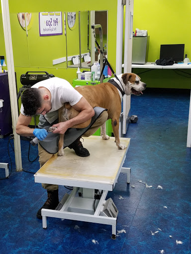 Pet Supply Store «Pet Supermarket», reviews and photos, 4500 N State Rd 7, Pompano Beach, FL 33073, USA