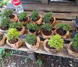 Viveros El Edén photo