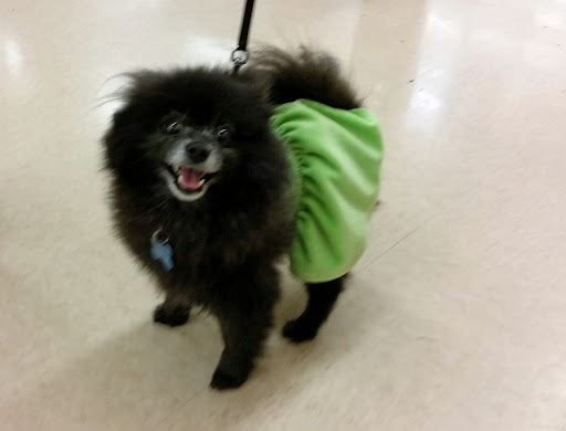 Pet Supply Store «Petco Animal Supplies», reviews and photos, 5631 Grove Blvd, Hoover, AL 35226, USA