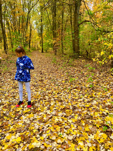 Nature Preserve «Al Sabo Land Preserve», reviews and photos, 6310 Texas Dr, Kalamazoo, MI 49009, USA