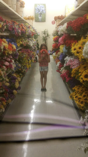 Craft Store «Hobby Lobby», reviews and photos, 2400 E Semoran Blvd, Apopka, FL 32703, USA