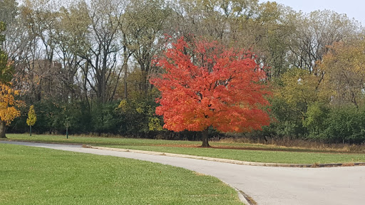 Nature Preserve «Schiller Woods East», reviews and photos, W Irving Park Rd, Chicago, IL 60634, USA