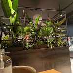 Photo n°9 de l'avis de Roberta.r fait le 10/08/2023 à 16:28 sur le  BraDeVi à San Potito Ultra