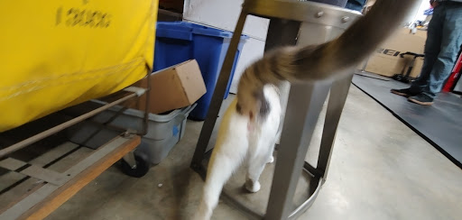 Bicycle Store «Trek Bicycle Store Greensboro», reviews and photos, 1209 Battleground Ave, Greensboro, NC 27408, USA