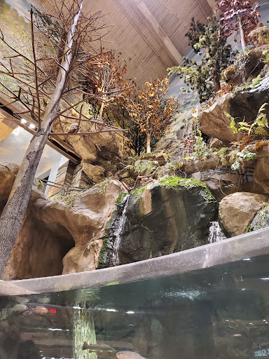 Sporting Goods Store «Bass Pro Shops», reviews and photos, 1 Bass Pro Dr, Bridgeport, CT 06608, USA