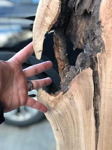 Hardware Store «Asheville Hardware», reviews and photos, 10 Buxton Ave, Asheville, NC 28801, USA