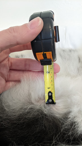 Pet Supply Store «Petapoluza Pet Supply & Grooming», reviews and photos, 114 N 36th St, Seattle, WA 98103, USA