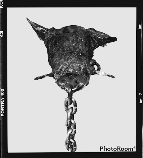 Explore milwaukee tattoo ideas, creative tattoo ideas in Muncie, available at Obscura Tattoo shop and Oddity Collective