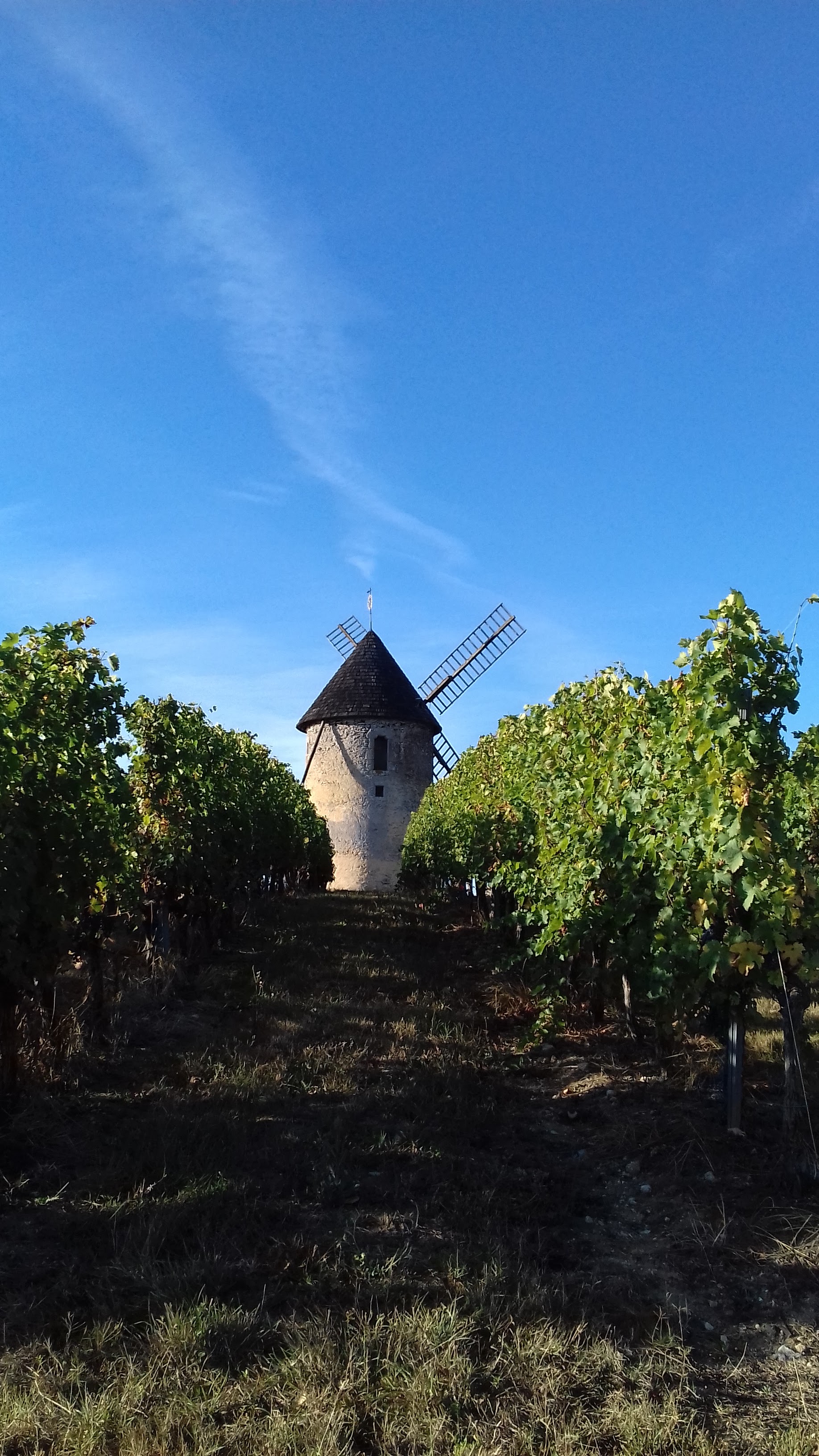 Photo n° 1 de l'avis de Jenny.l fait le 05/10/2018 à 16:20