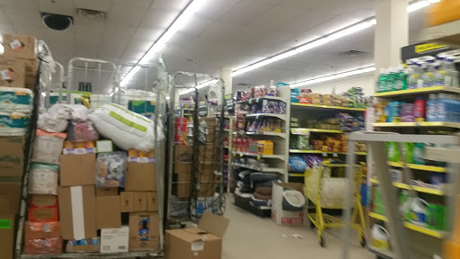 Discount Store «Dollar General», reviews and photos, 30420 Lakeshore Blvd, Willowick, OH 44095, USA