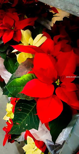 Home Improvement Store «The Home Depot», reviews and photos, 99 Sutton Ave, Oxford, MA 01540, USA