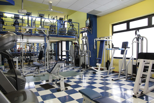 Gálvez en Soria, Soria