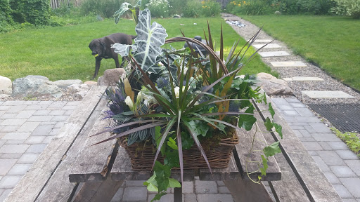 Florist «La Petite Fleur», reviews and photos, 259 Prescott St, St Paul, MN 55107, USA