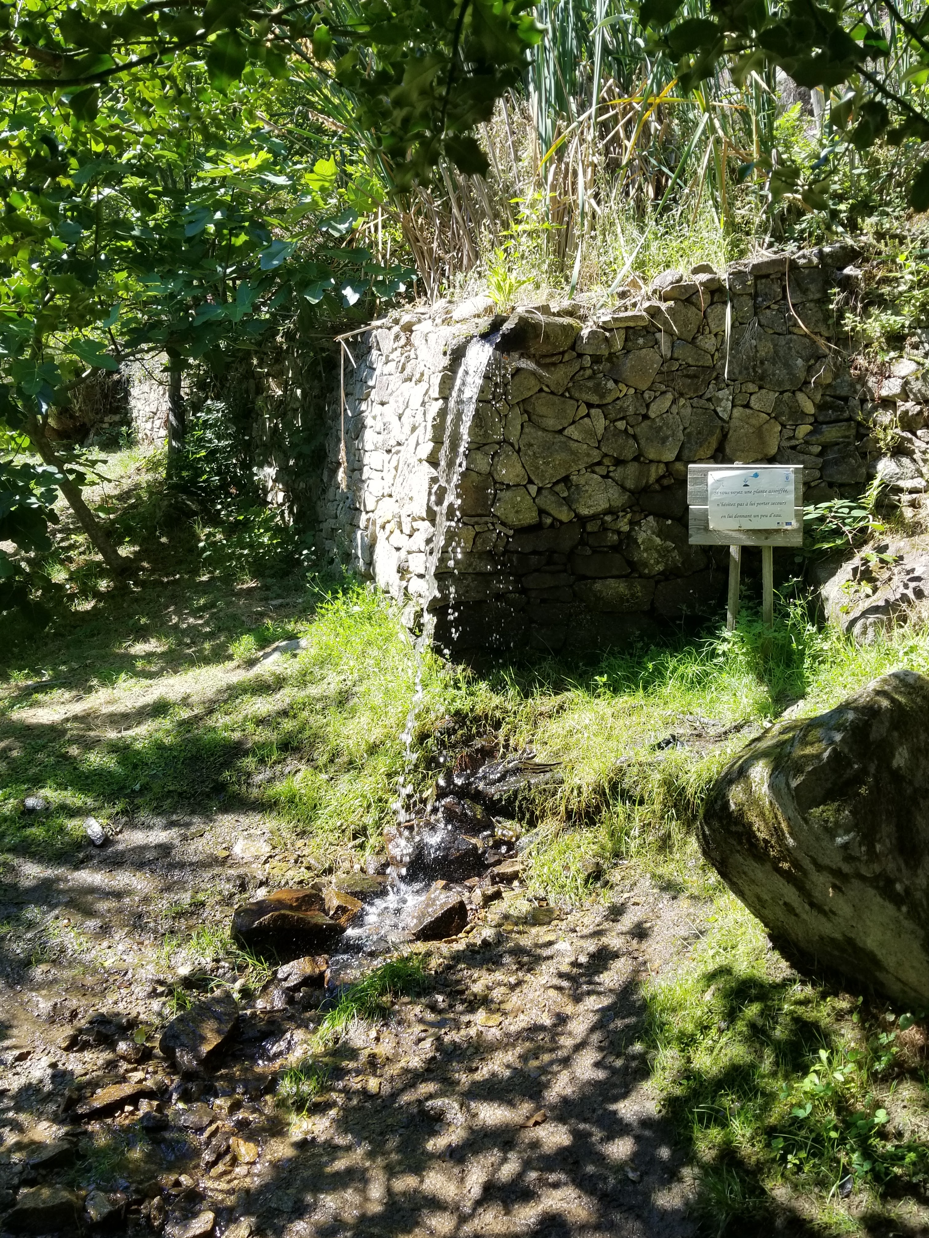 Photo n° 2 de l'avis de Jean-Louis.a fait le 28/07/2023 à 09:40