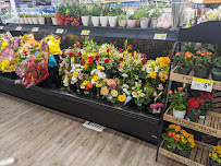 Save Mart - Photo 8 - Car repair in Visalia, CA, Visalia