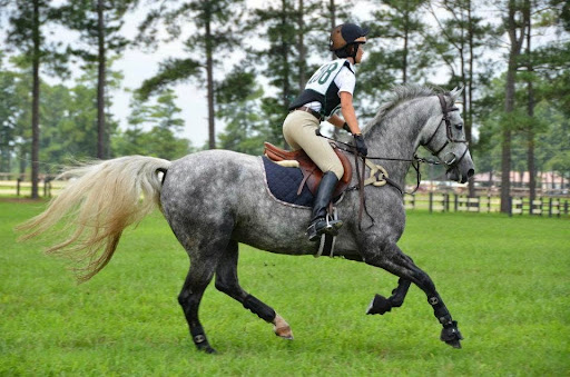 Brewery «Broomtail Craft Brewery», reviews and photos, 6404 Amsterdam Way, Wilmington, NC 28405, USA