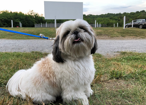 Drive-in Movie Theater «Stardust Drive In Theatre», reviews and photos, 310 Purple Tiger Dr, Watertown, TN 37184, USA