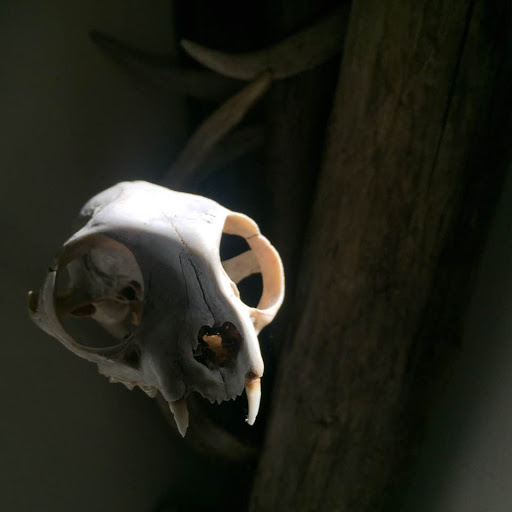 Tattoo Shop «4Points Body Gallery», reviews and photos, 4222 Nicollet Ave, Minneapolis, MN 55409, USA