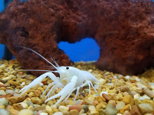 Pet Supply Store «Petco Animal Supplies», reviews and photos, 10 Sylvan St, Peabody, MA 01960, USA