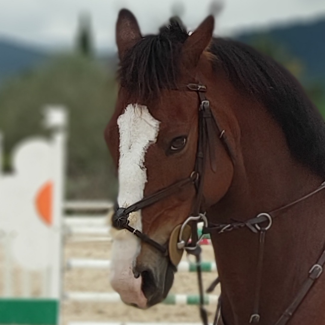 Photo n° 3 de l'avis de Bruno.a fait le 06/06/2019 à 21:19