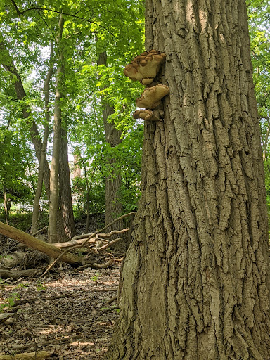 Community Center «Garfield Park Nature Center», reviews and photos, 11350 Broadway Ave, Garfield Heights, OH 44125, USA