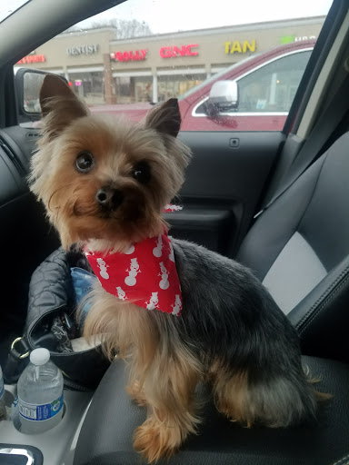 Pet Supply Store «Mom & Pups Inc», reviews and photos, 800 Whitlock Ave NW #104, Marietta, GA 30064, USA