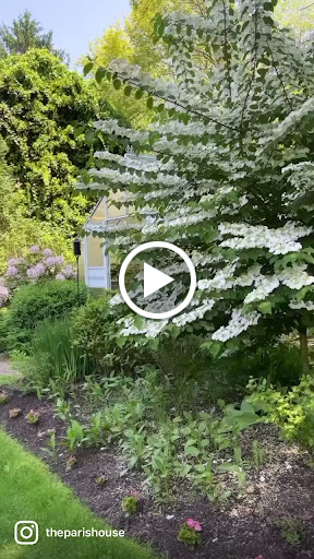 Florist «Flower Girl», reviews and photos, 16 W Springtown Rd, Long Valley, NJ 07853, USA