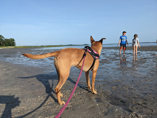 Nature Preserve «James Farm Ecological Preserve», reviews and photos, 30048 Cedar Neck Rd, Ocean View, DE 19970, USA