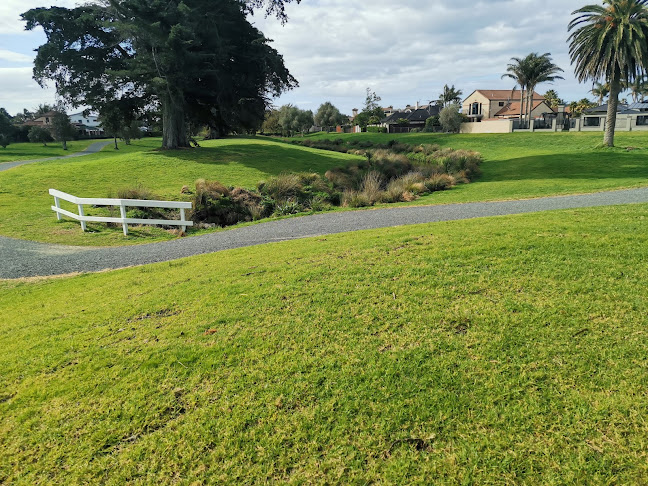 Reviews of Stormwater Reserve in Papamoa - Other