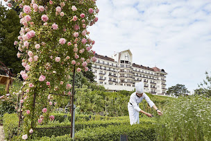 Photo n°93 de Hôtel Royal Evian à Évian-les-Bains ()