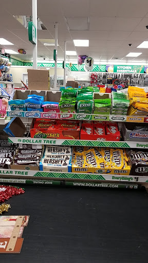 Dollar Store «Dollar Tree», reviews and photos, 8653 Columbus Pike, Lewis Center, OH 43035, USA