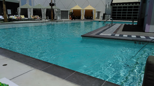 Night Club «Foxtail Pool», reviews and photos, 2535 S Las Vegas Blvd, Las Vegas, NV 89109, USA